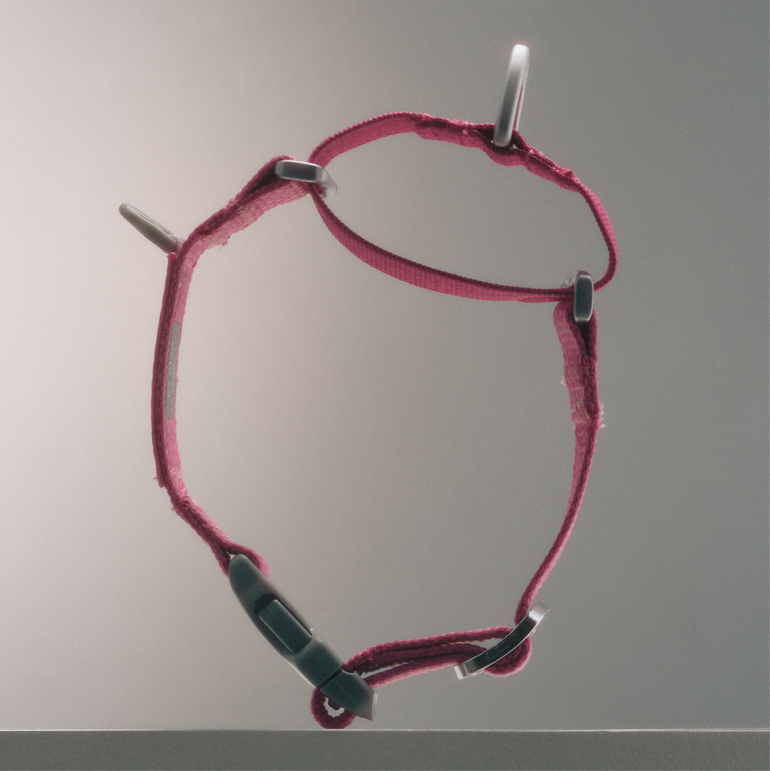 マーチンゲールカラー《Ardor™》