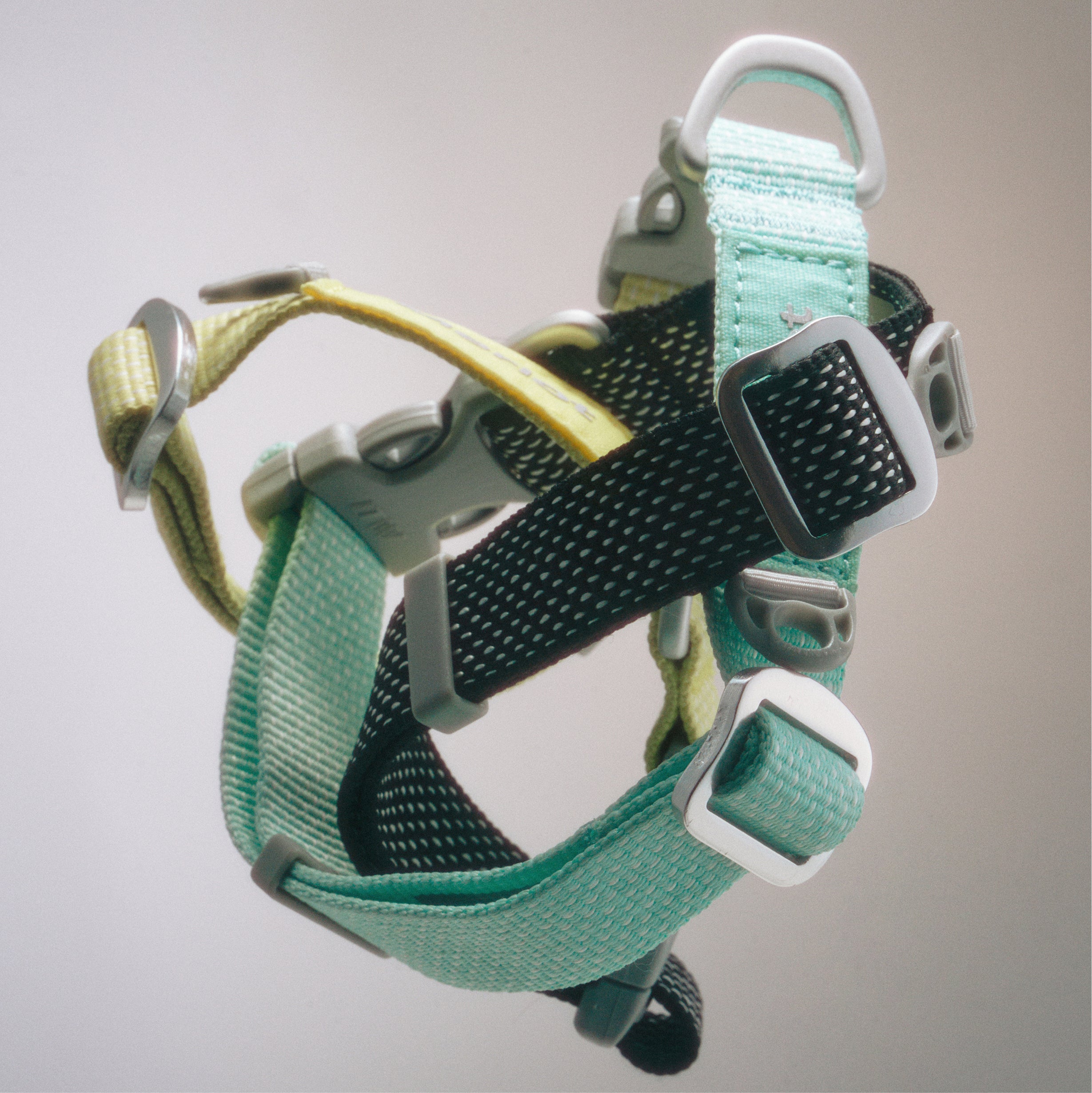 カラー《Ardor™》