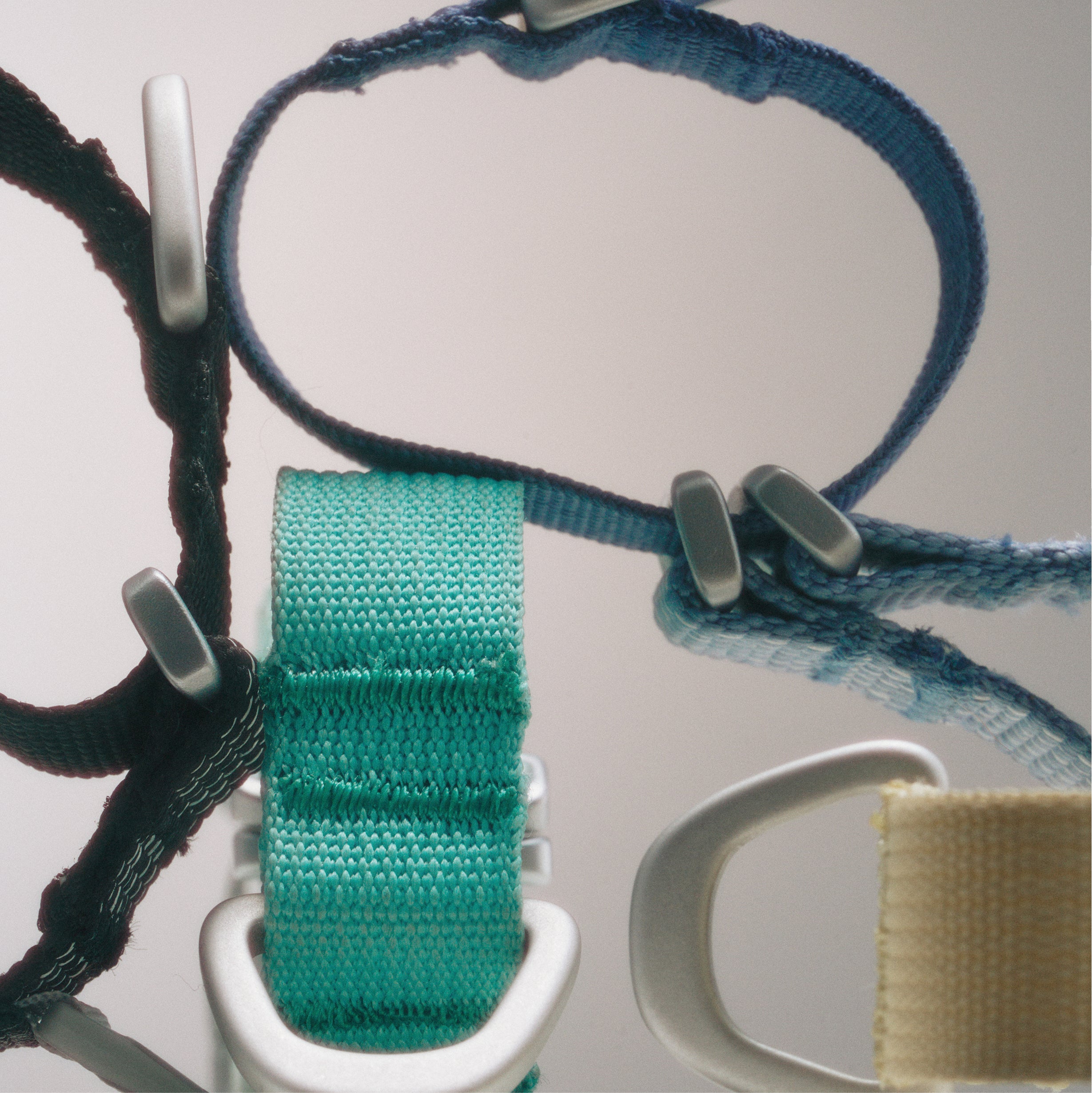 マーチンゲールカラー《Ardor™》