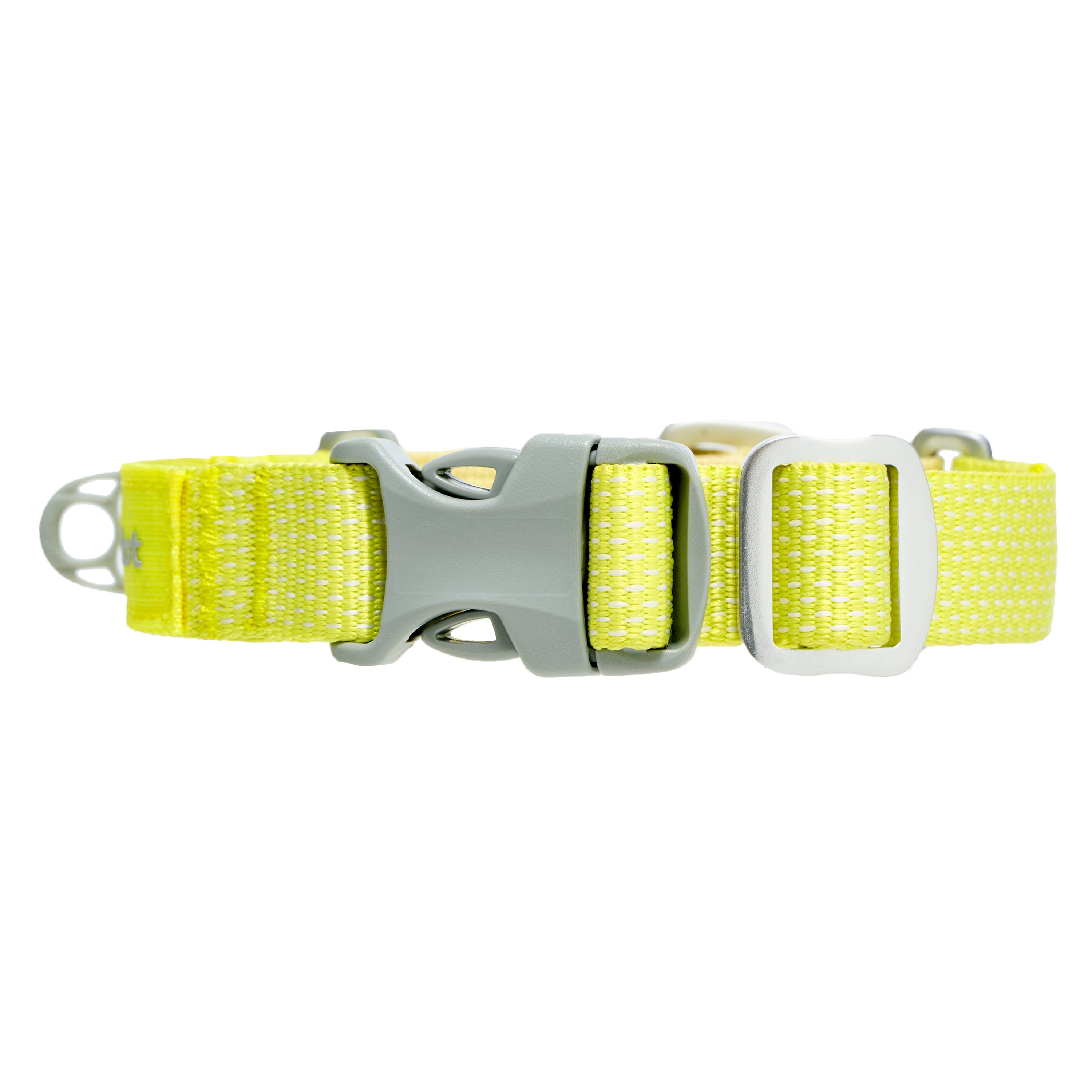 カラー《Ardor™》