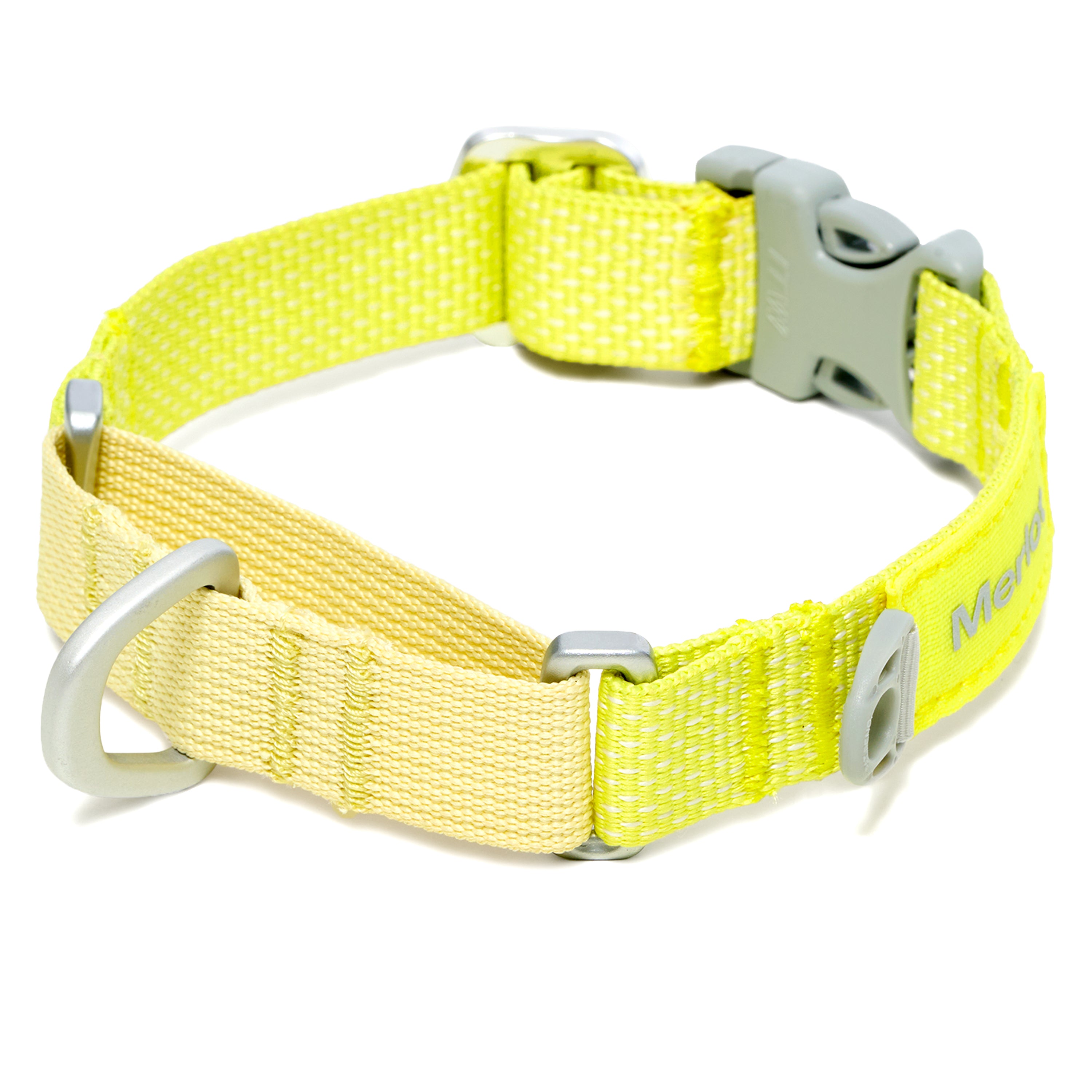 マーチンゲールカラー《Ardor™》