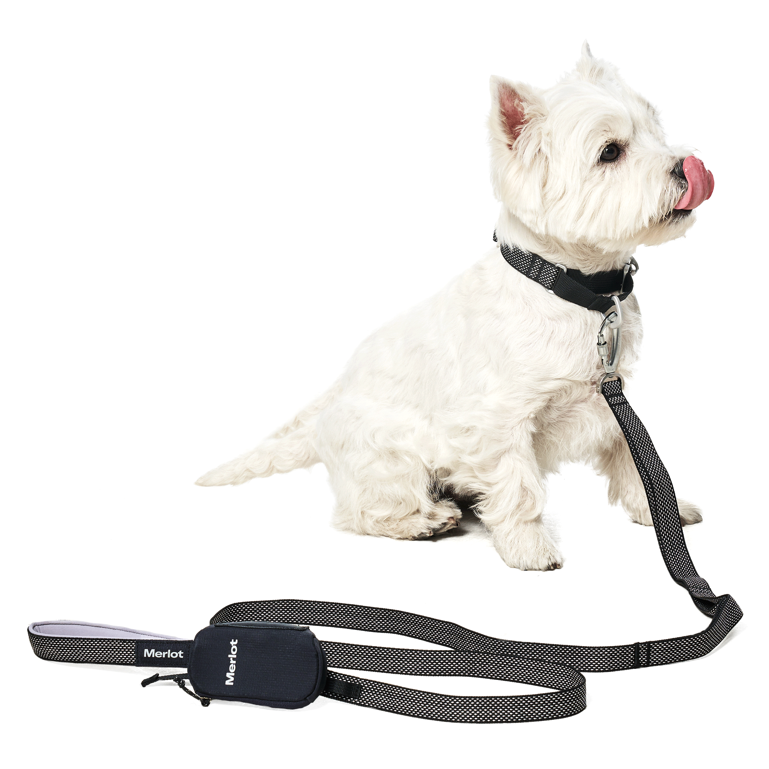 マーチンゲールカラー《Ardor™》