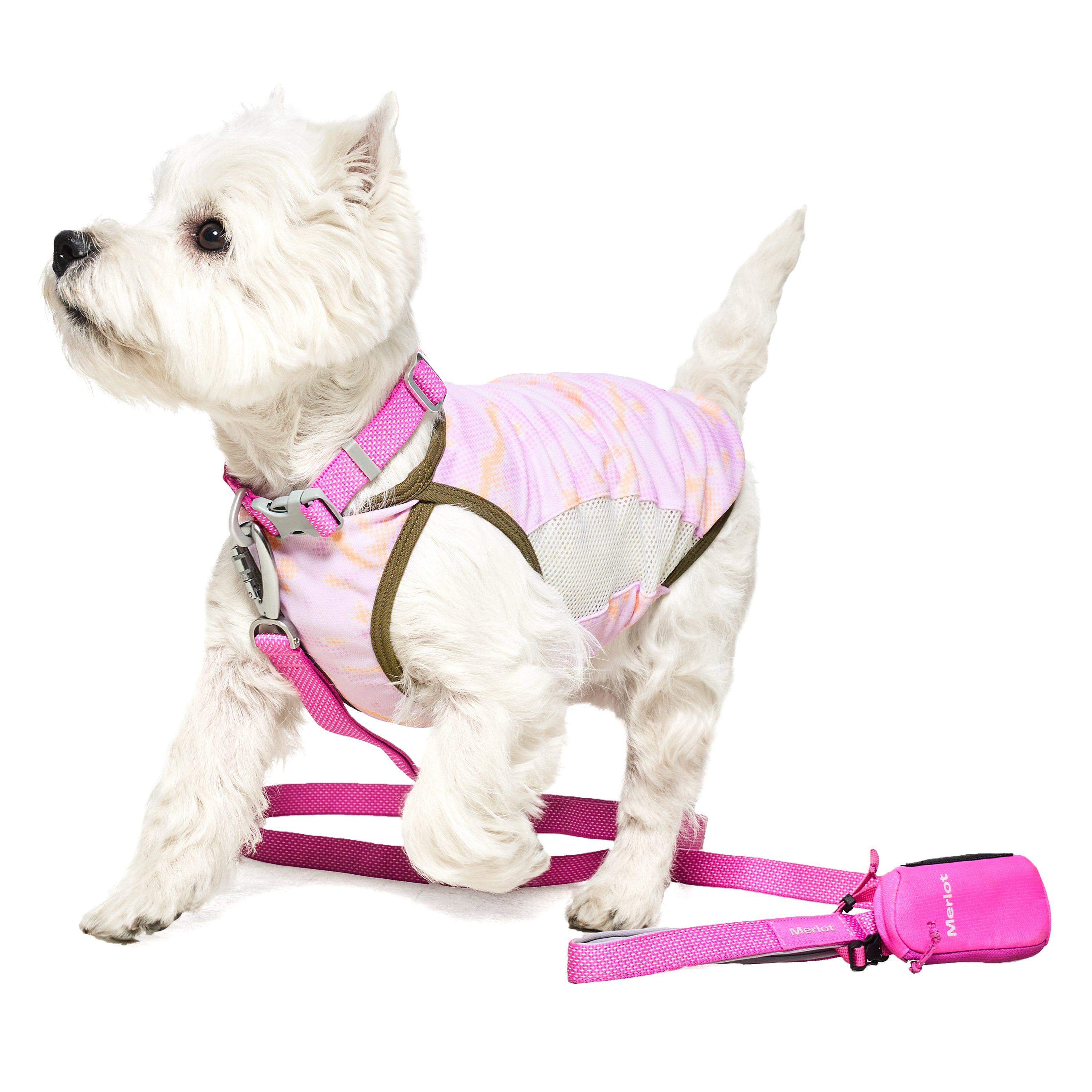 リード《Ardor™》