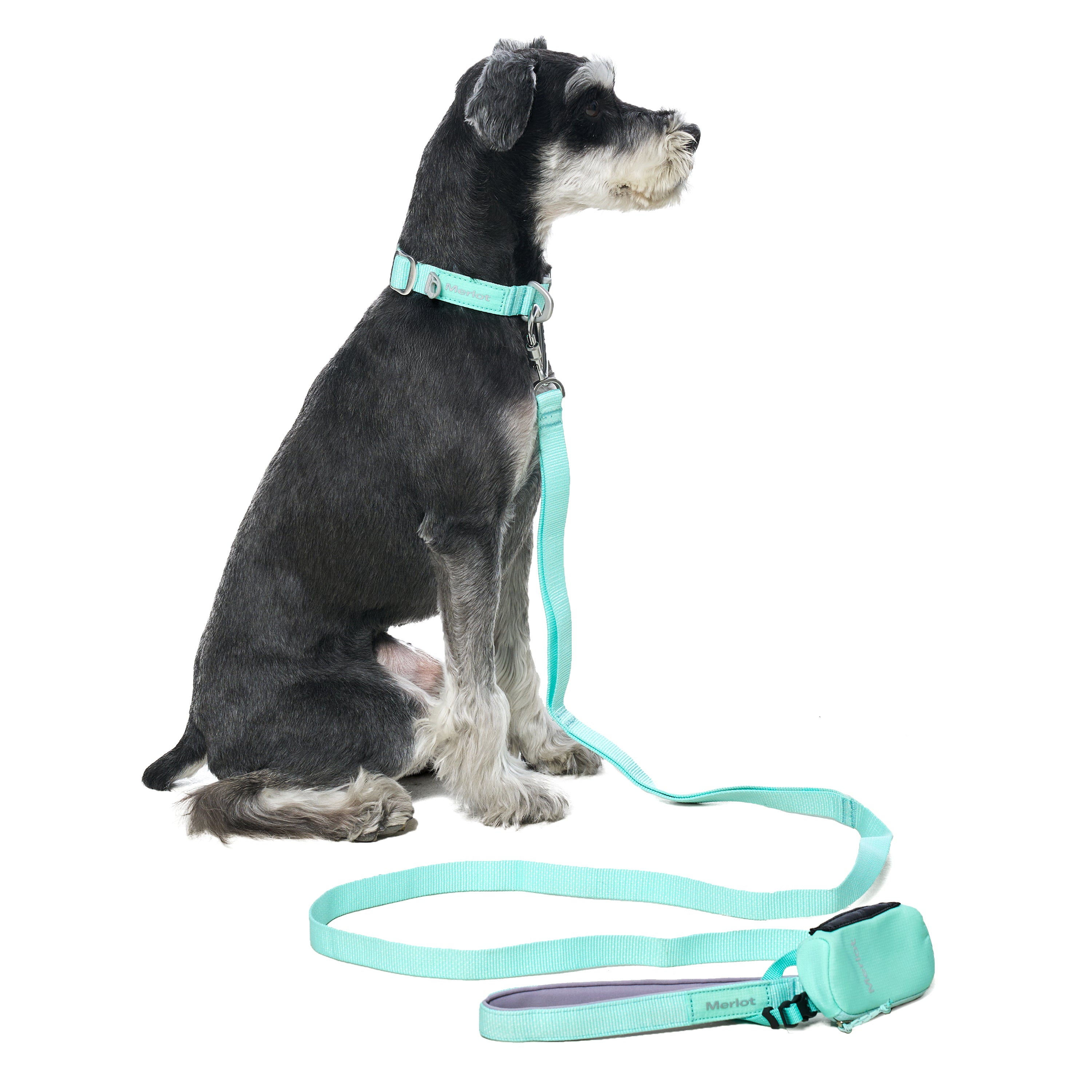 リード《Ardor™》