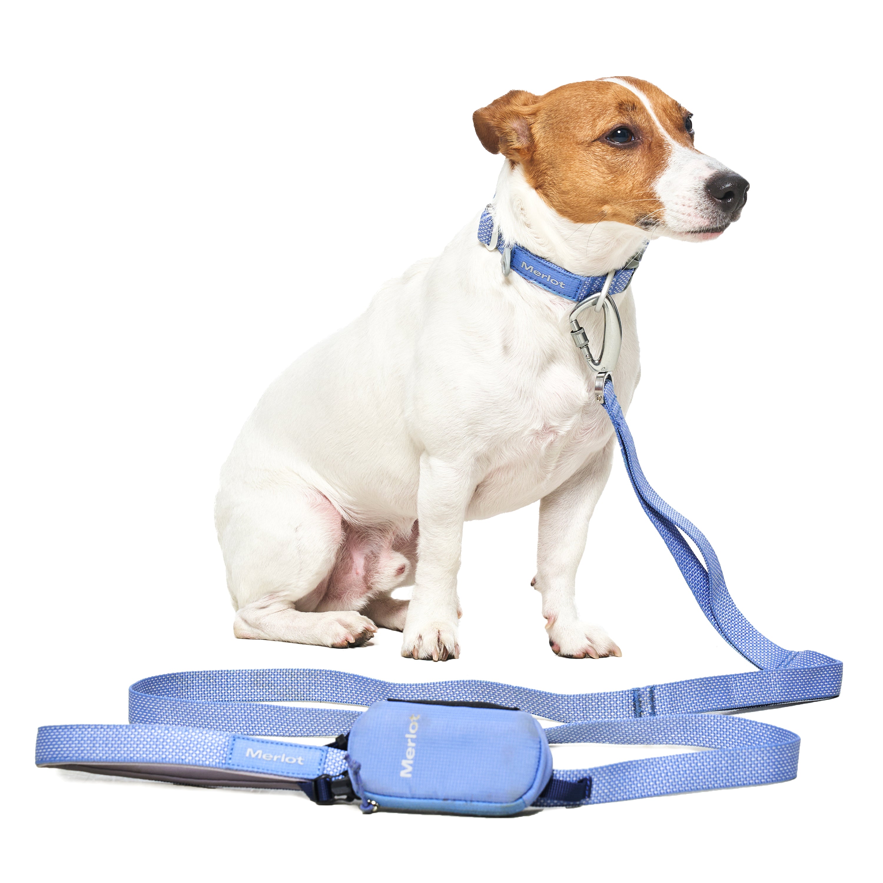 リード《Ardor™》