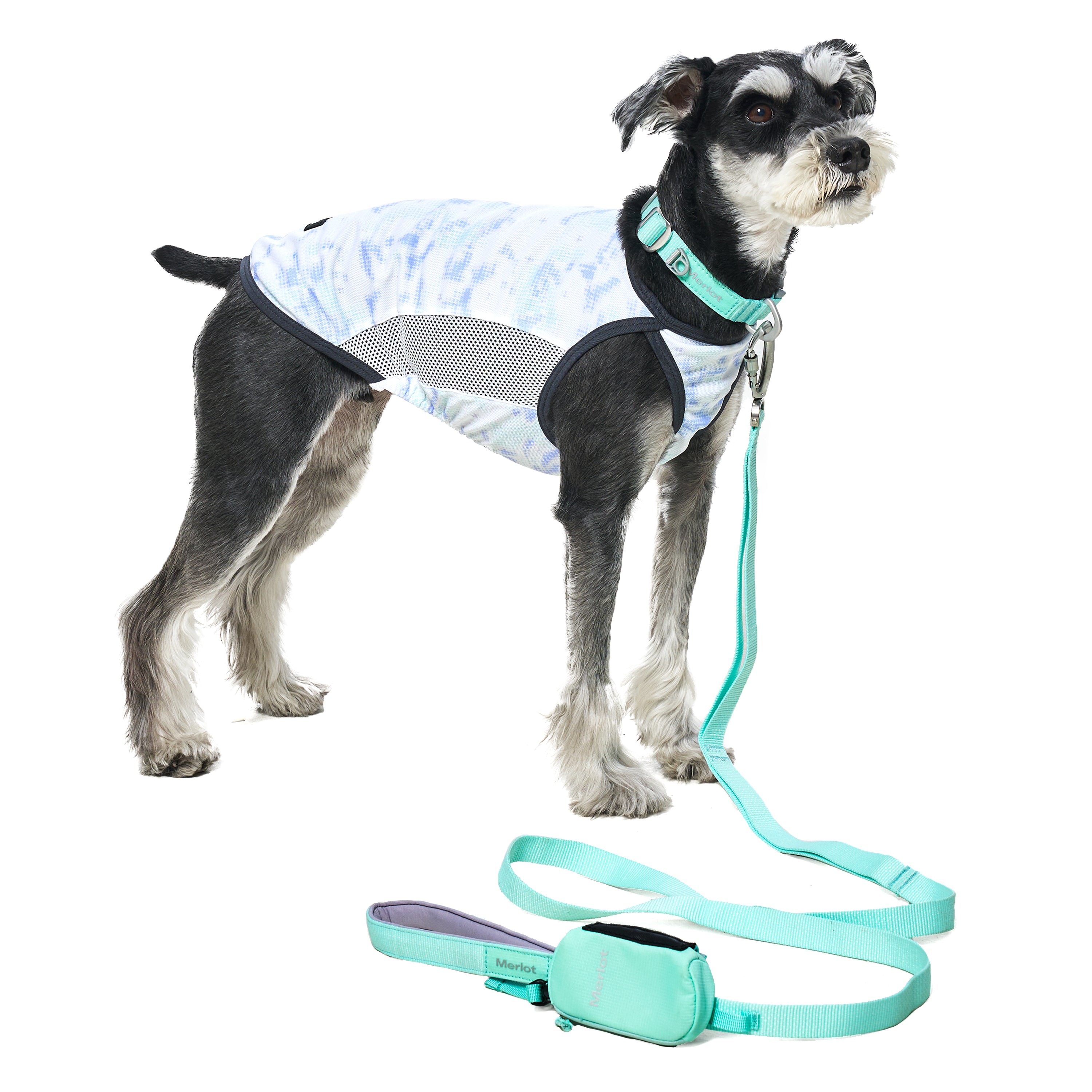 カラー《Ardor™》