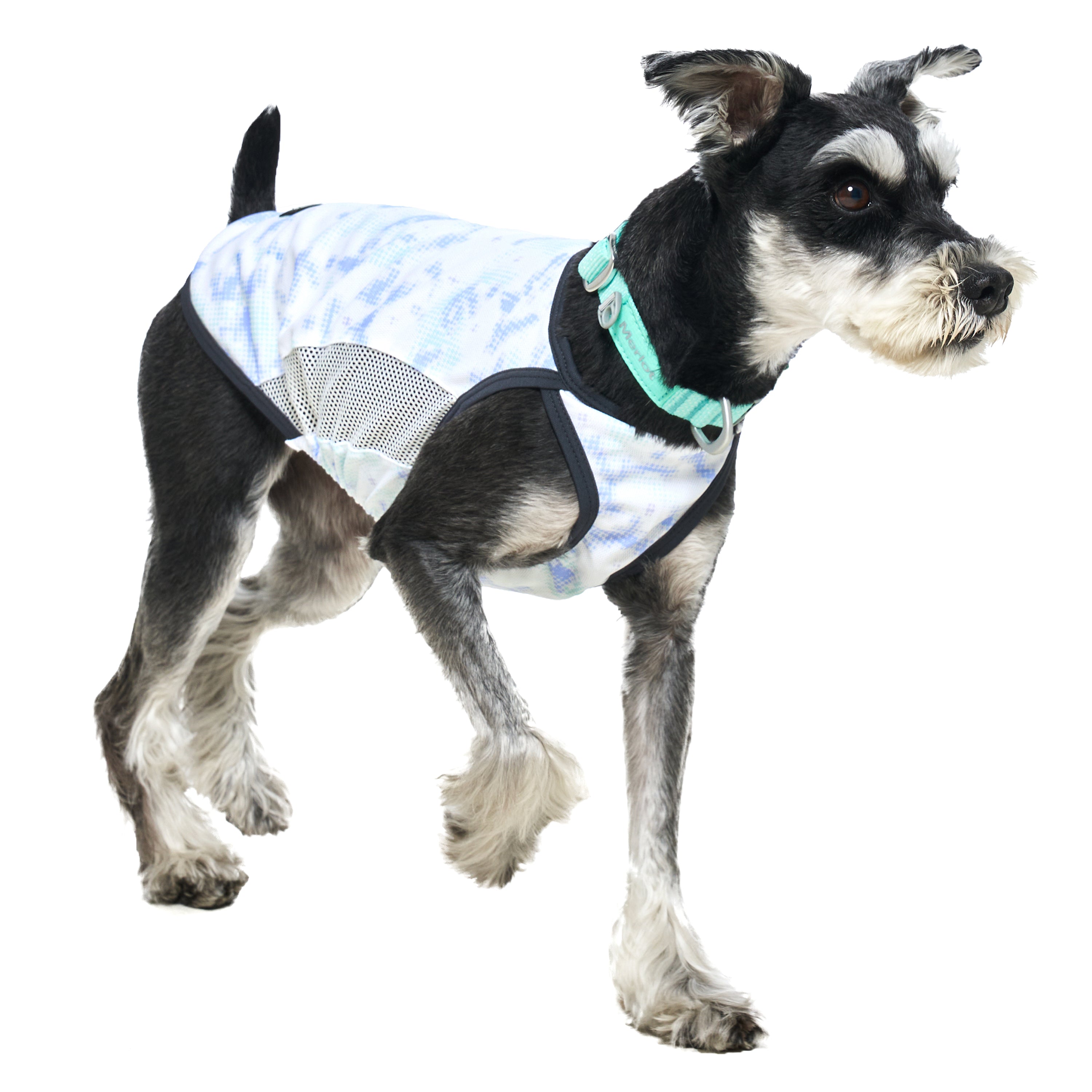 カラー《Ardor™》