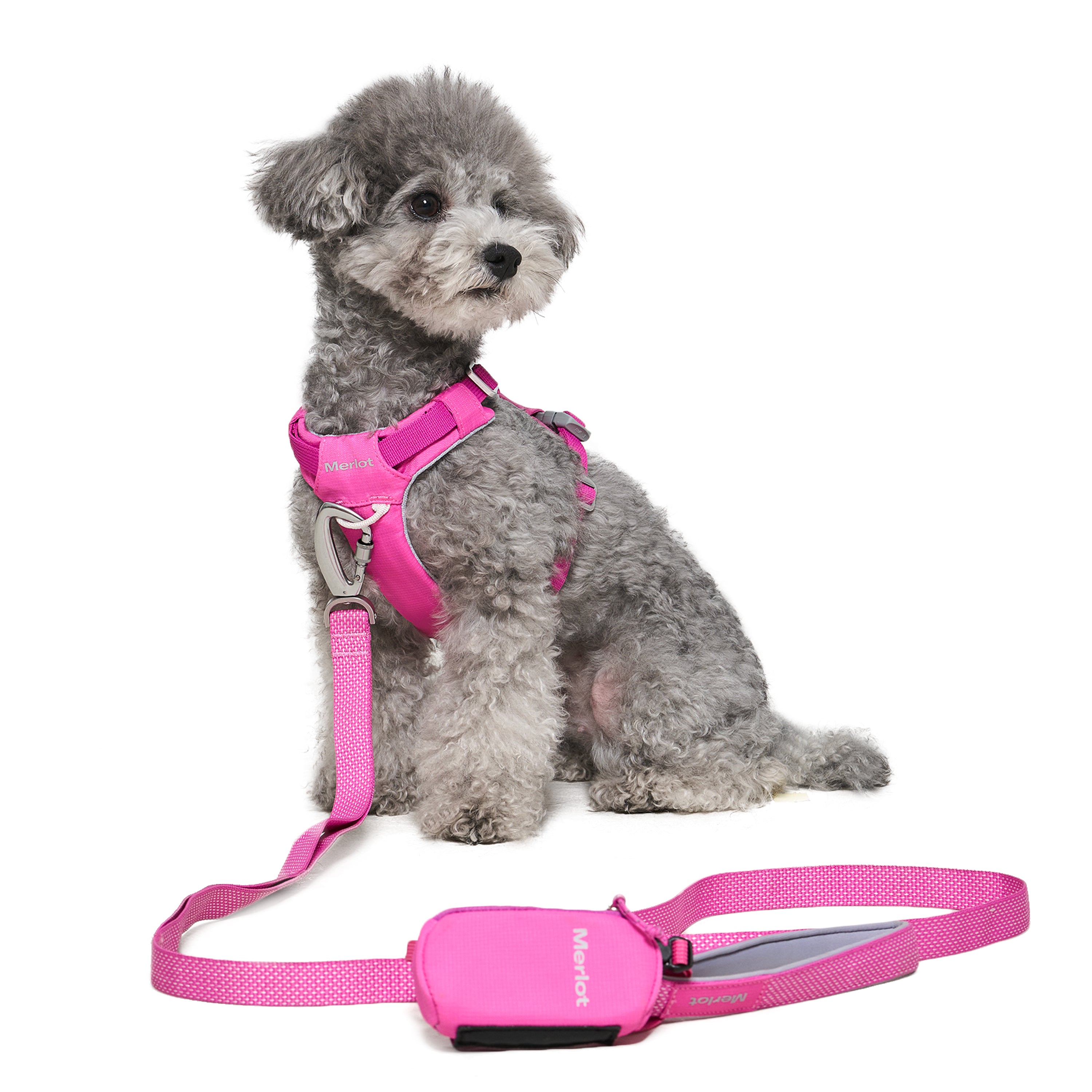 ハーネス《Ardor™》