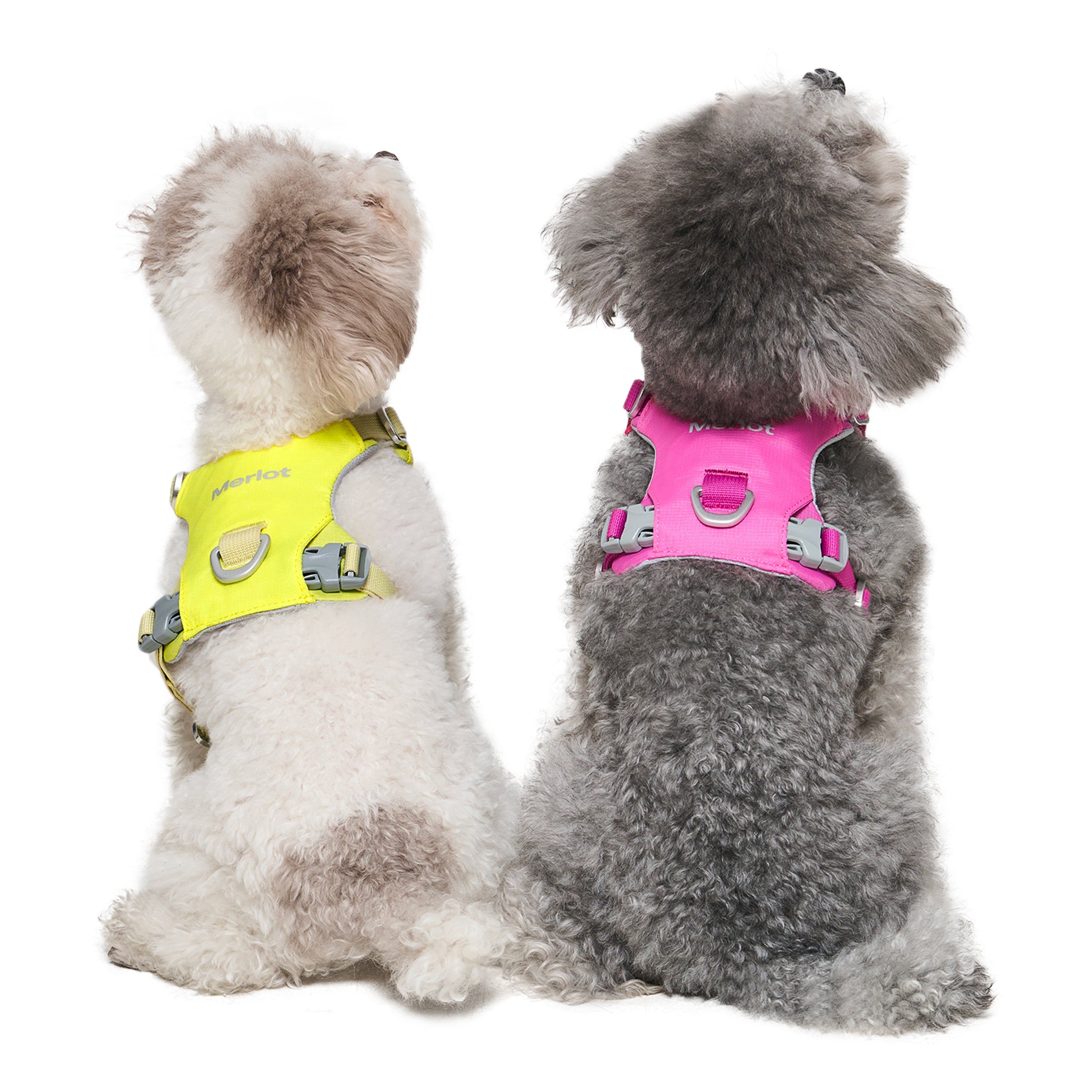 ハーネス《Ardor™》