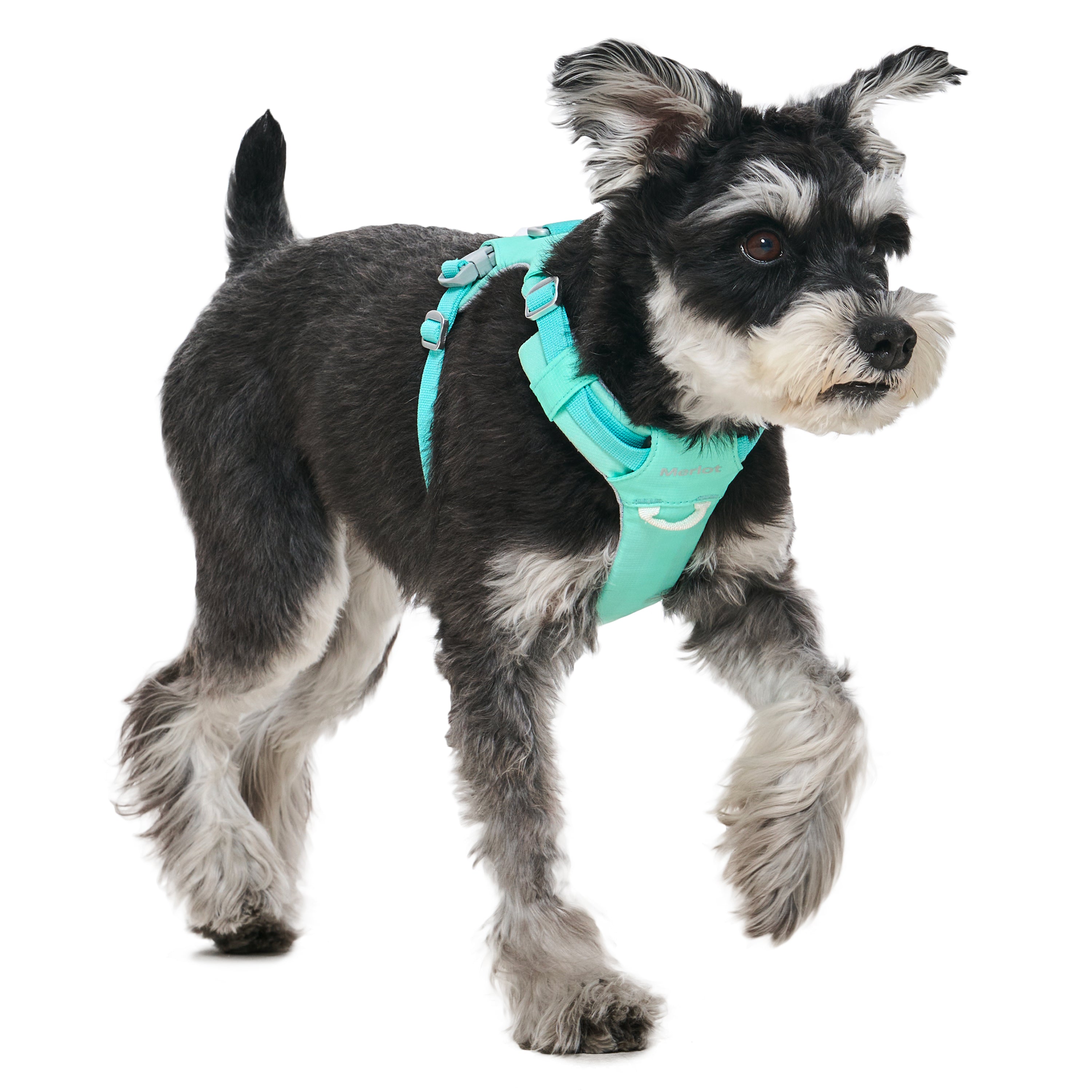 ハーネス《Ardor™》