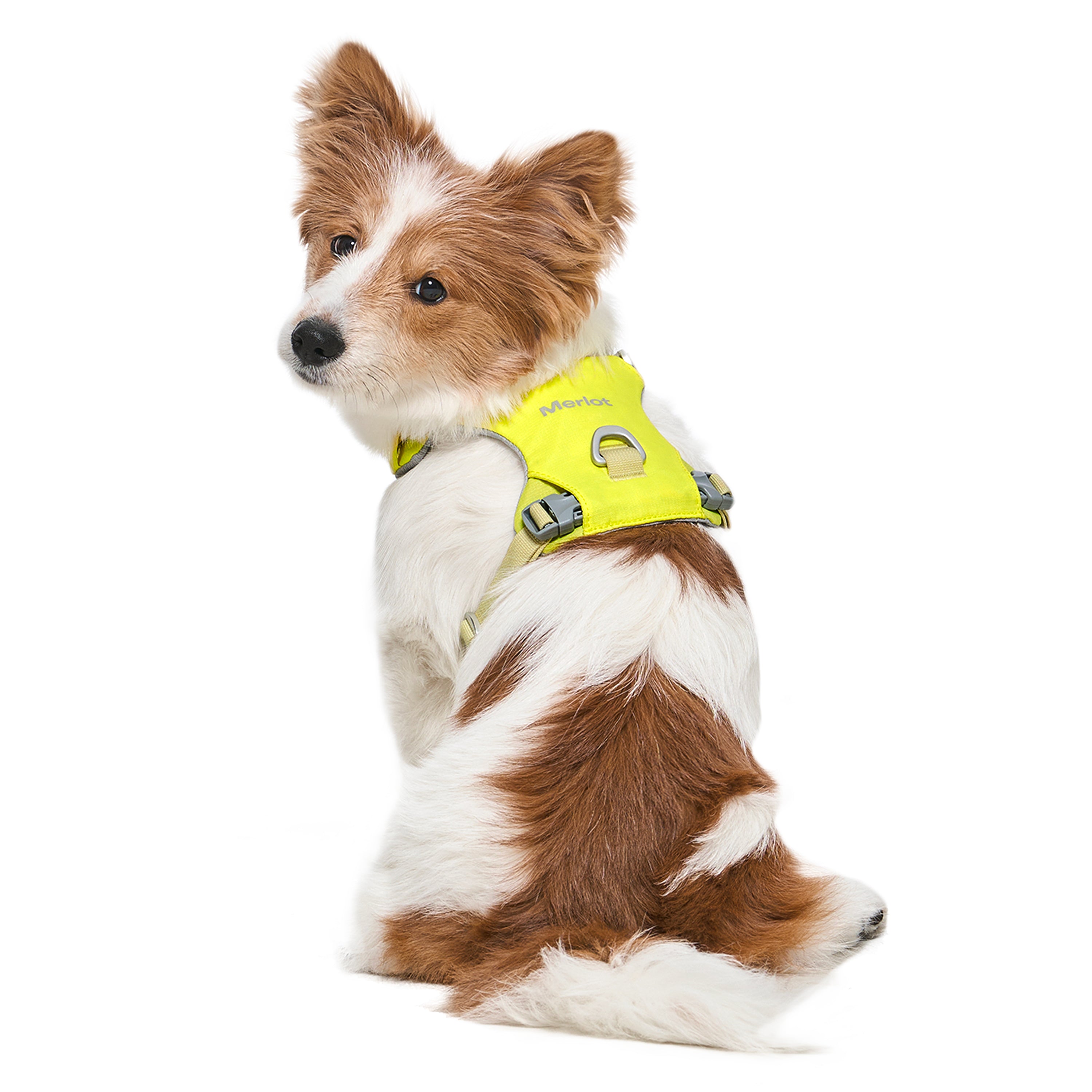 ハーネス《Ardor™》