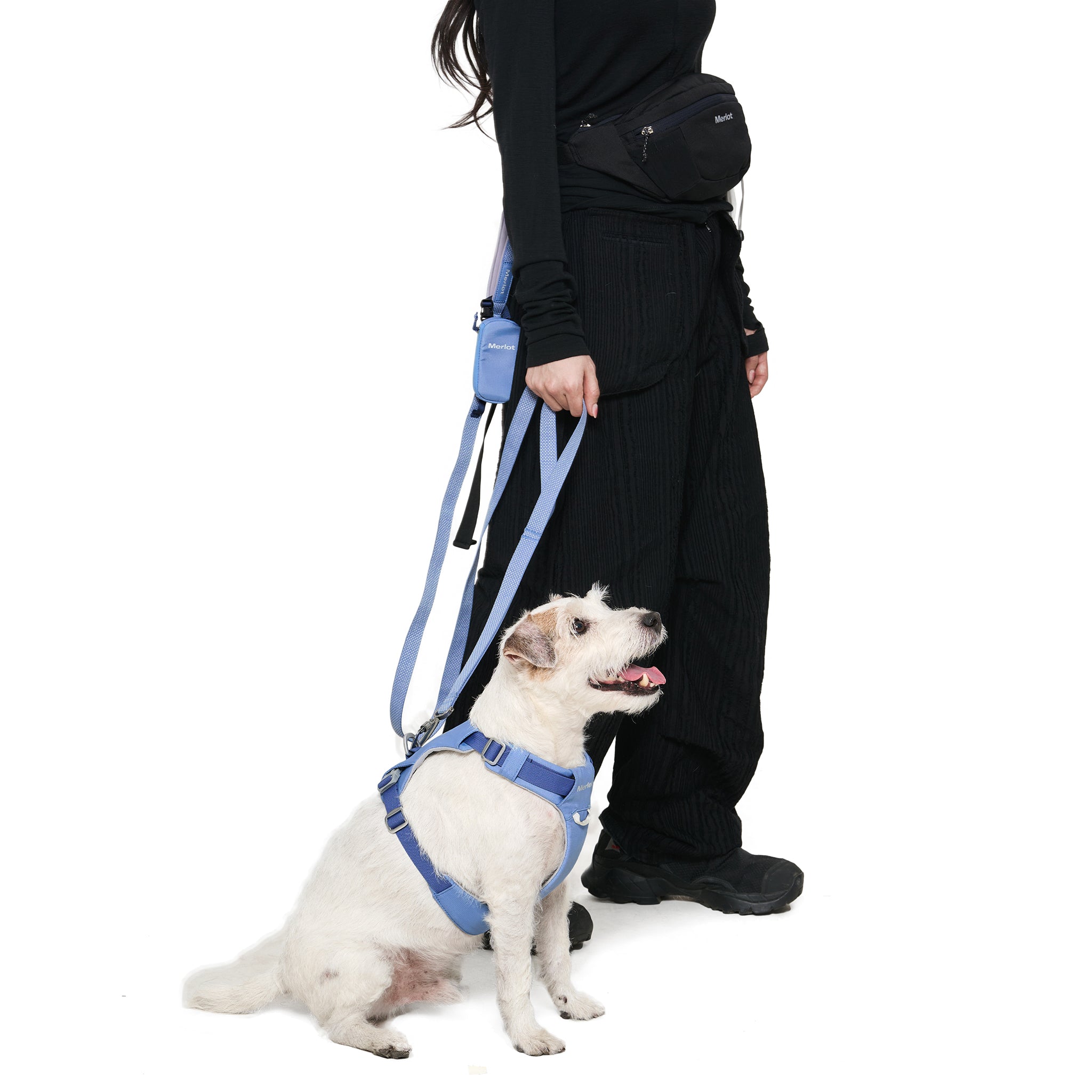 リード《Ardor™》