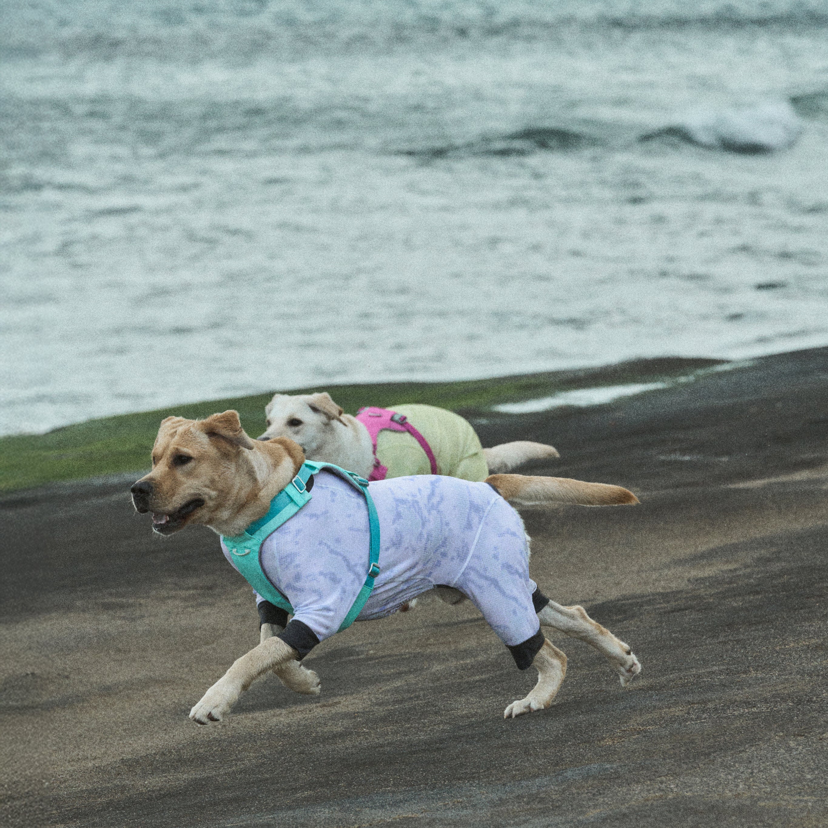 ウェア《Coore™》