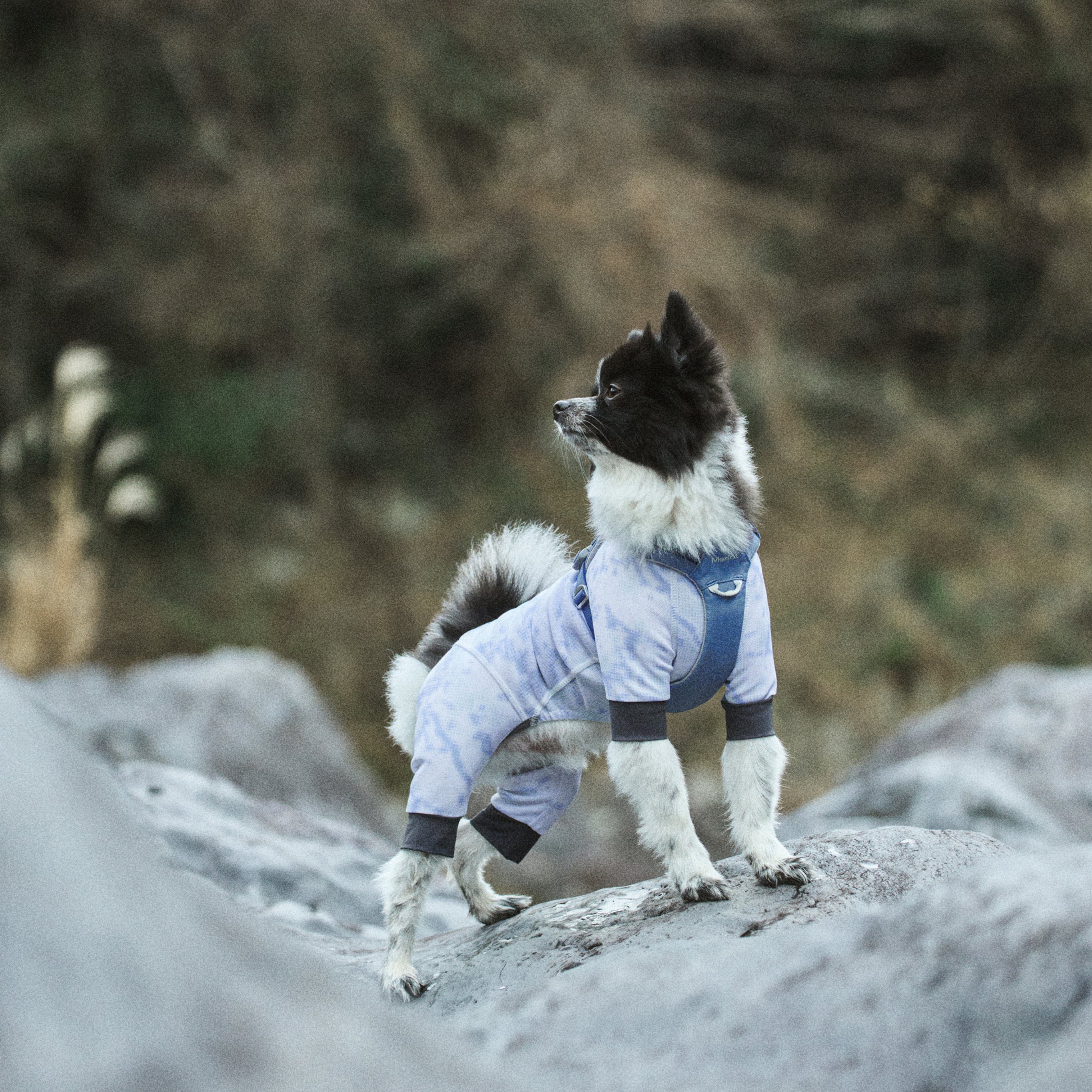 ウェア《Coore™》