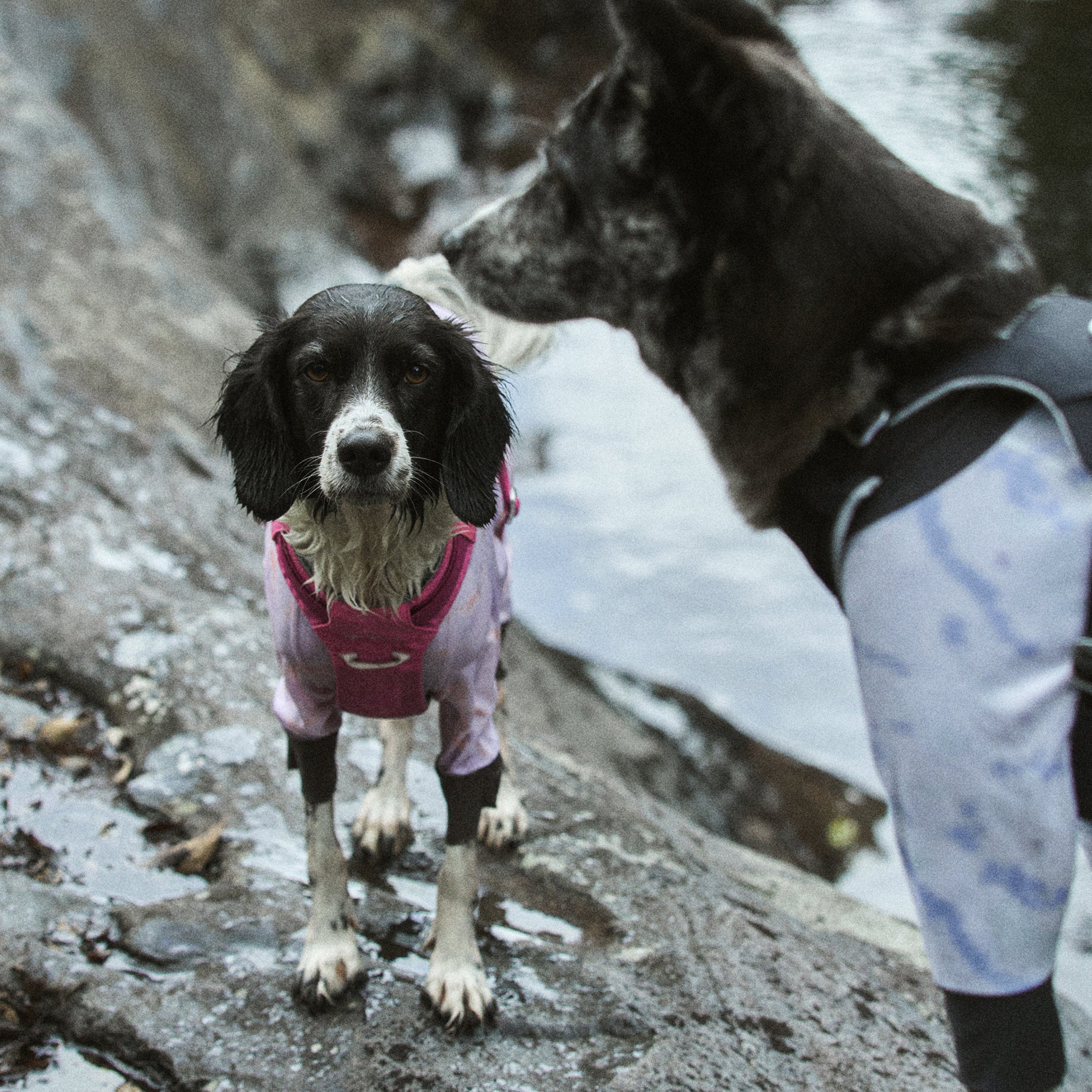 ウェア《Coore™》