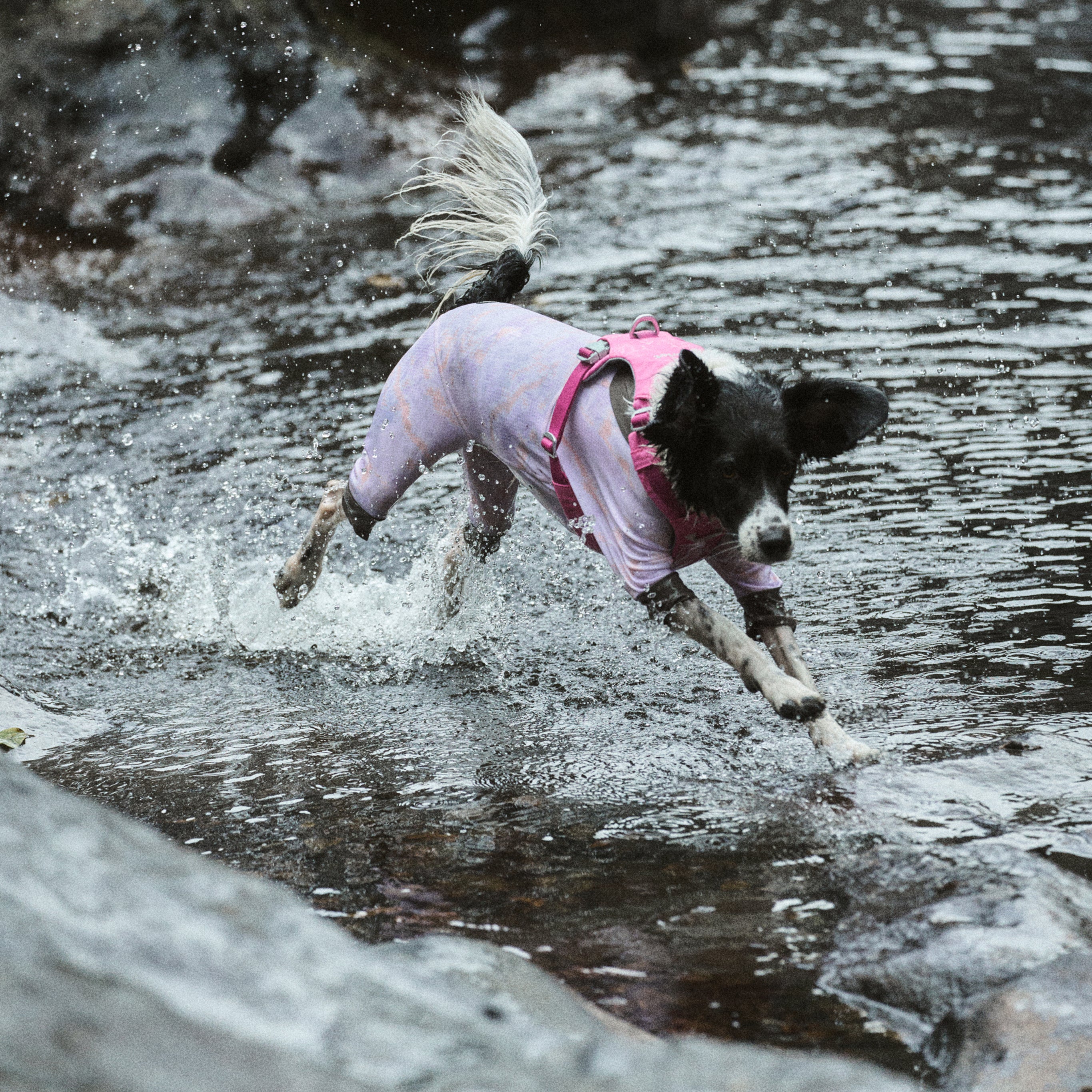 ハーネス《Ardor™》