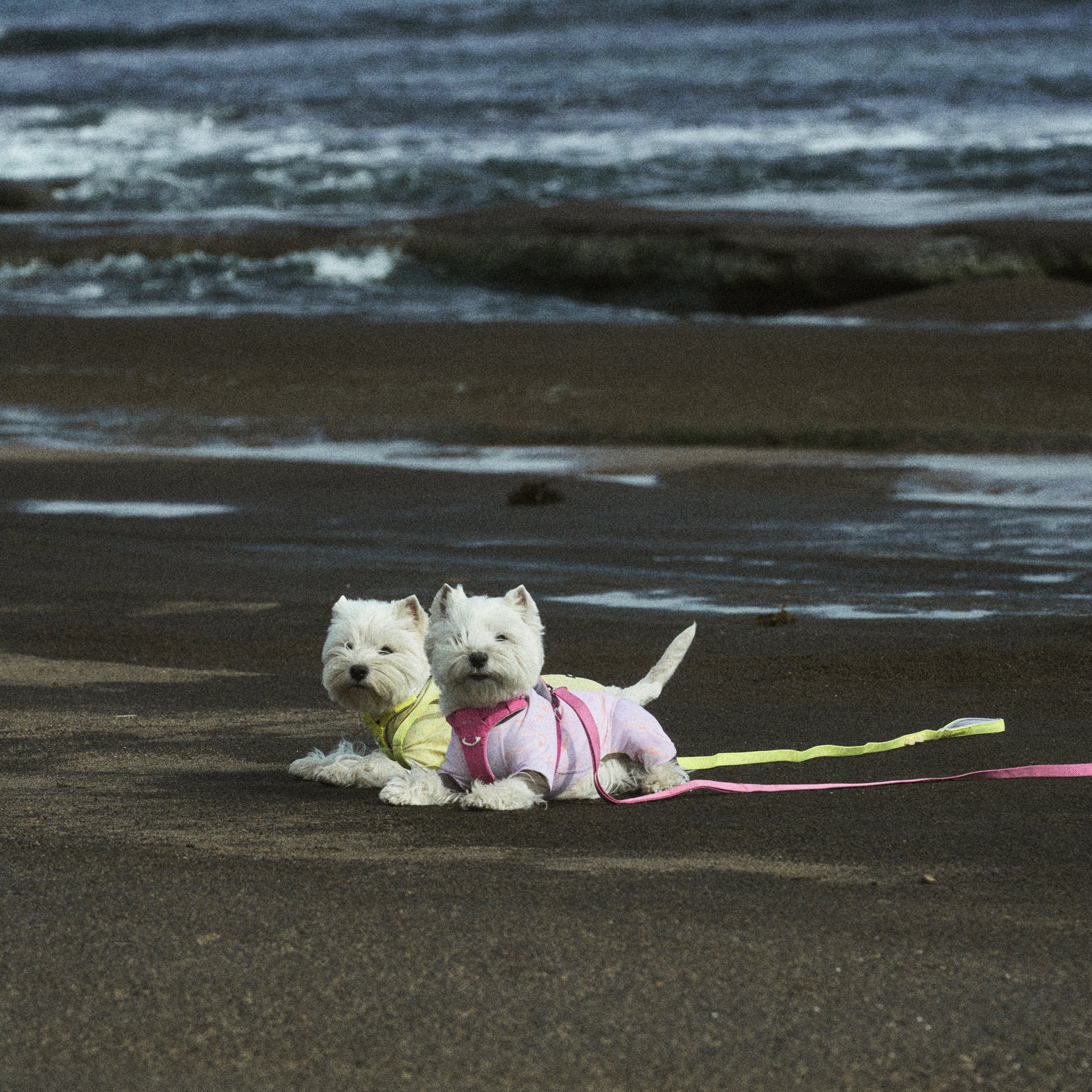 ウェア《Coore™》