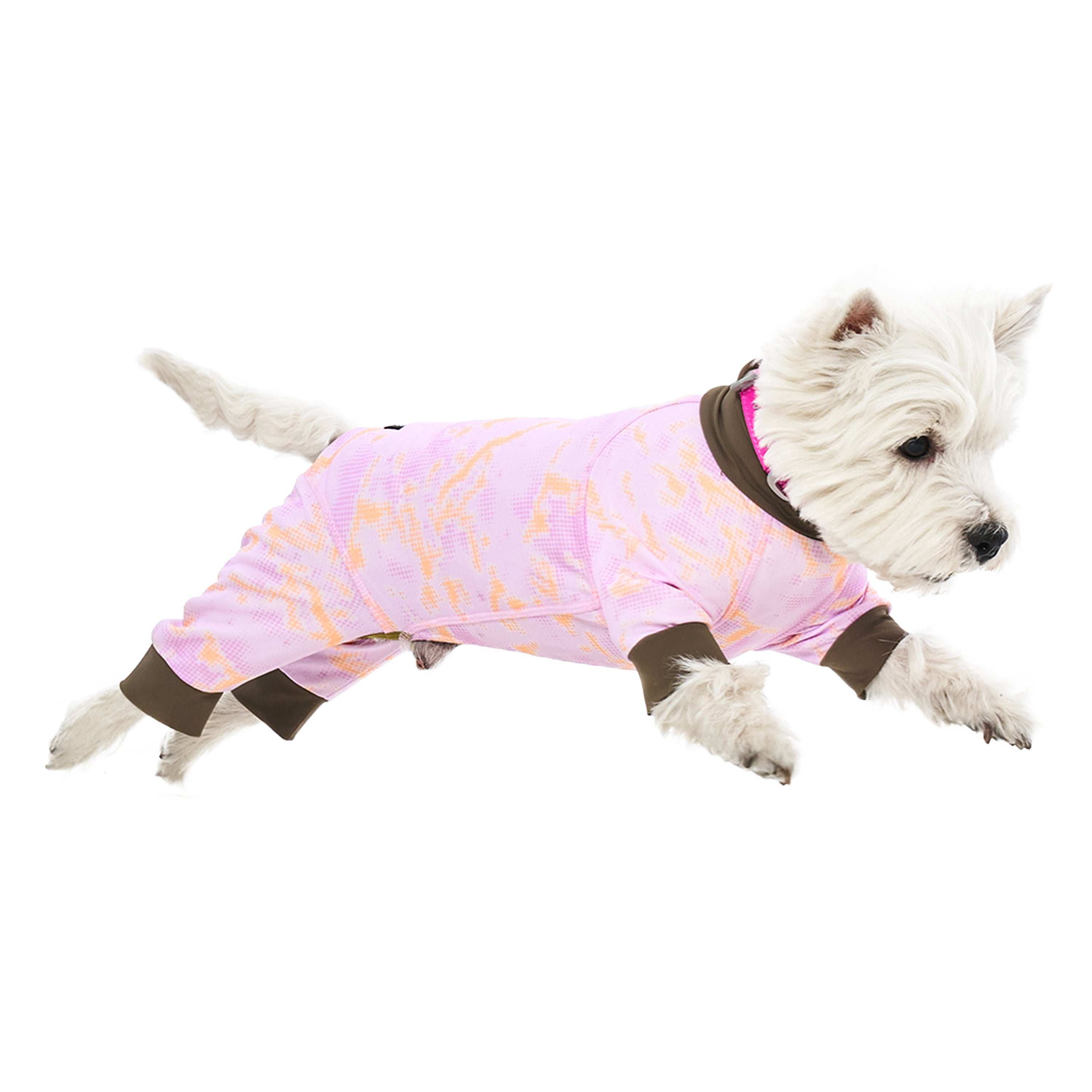 ウェア《Coore™》