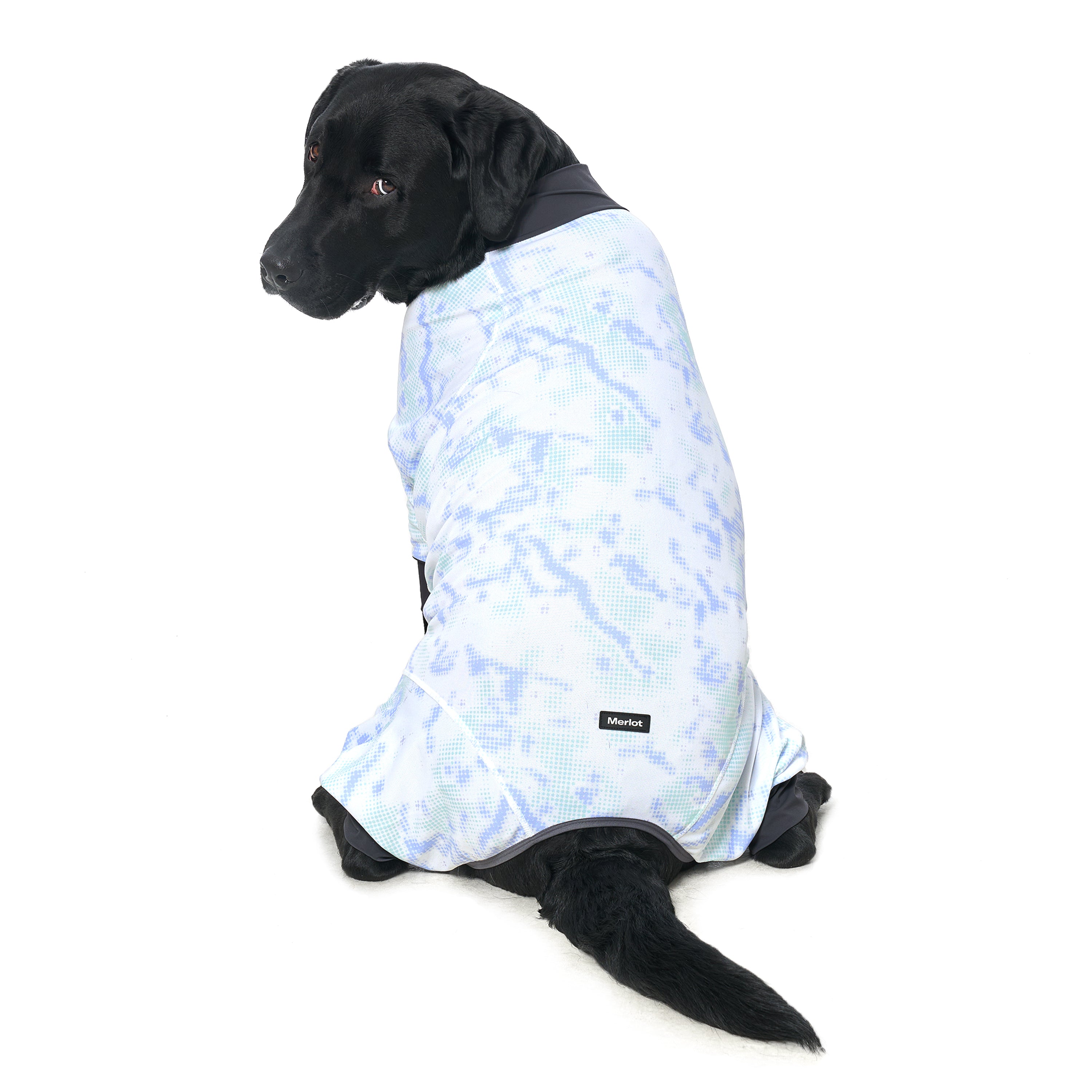 ウェア《Coore™》