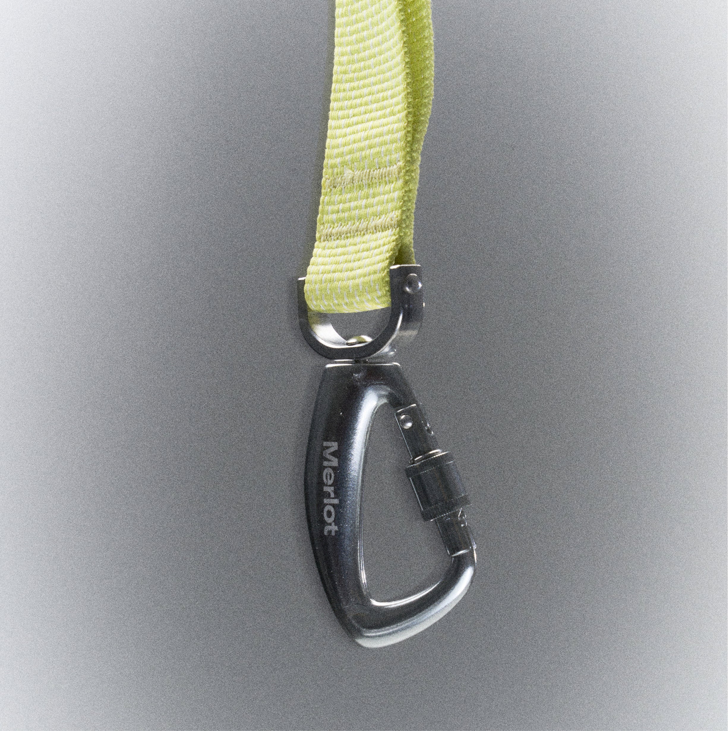 リード《Ardor™》