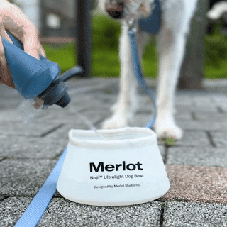 ドッグボウル《Noji™ 》