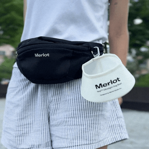 ドッグボウル《Noji™ 》